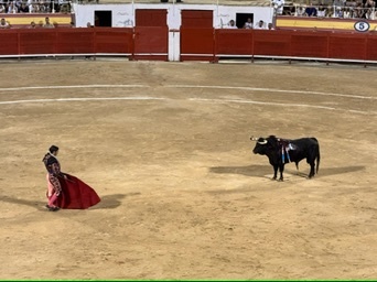 Palma