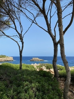 Cala d'Or