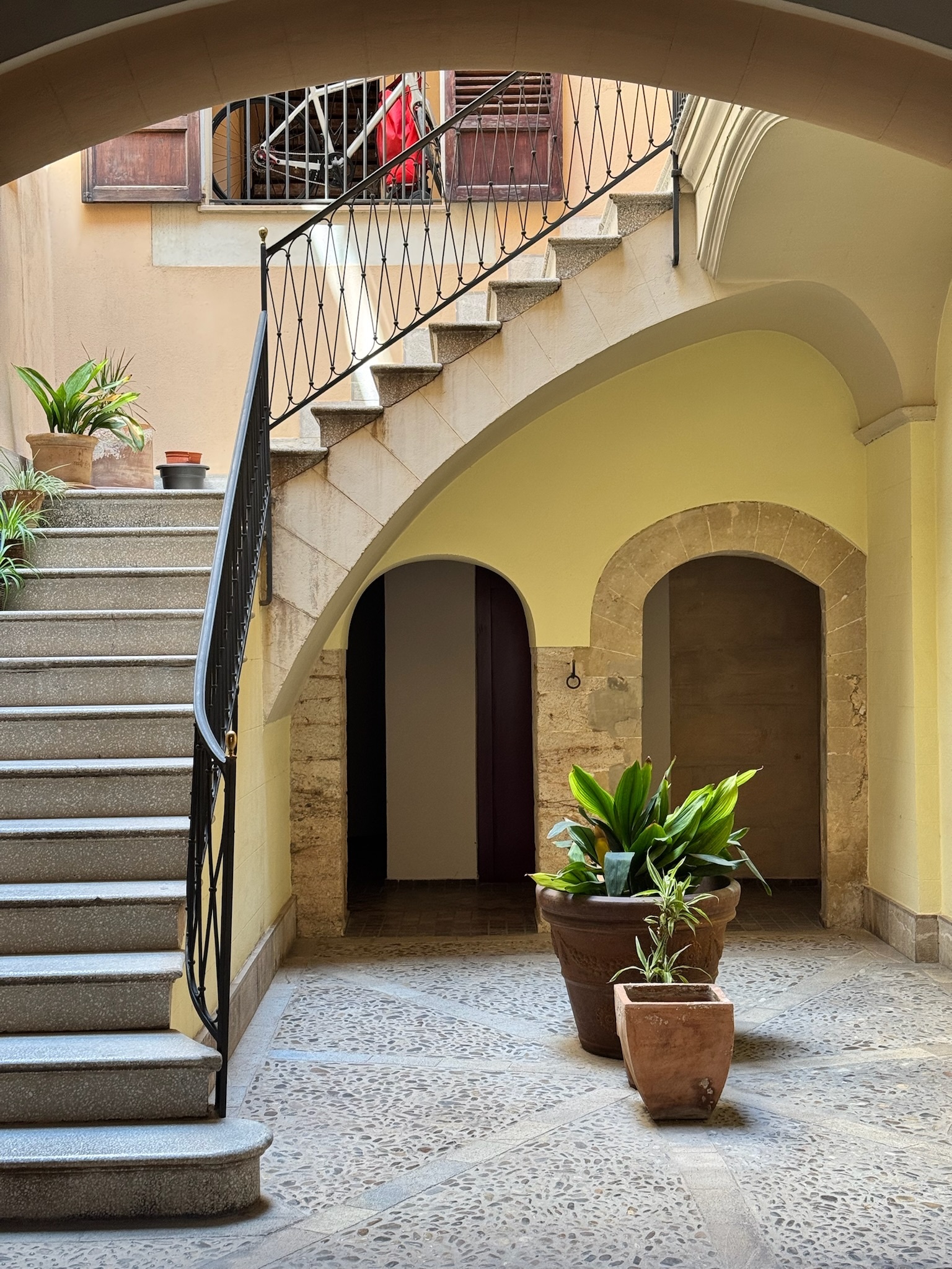 Palma