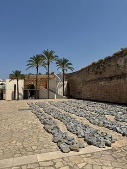 Palma