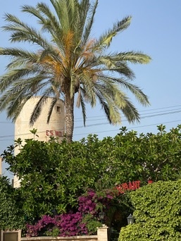 Santanyí