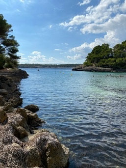 Portopetro