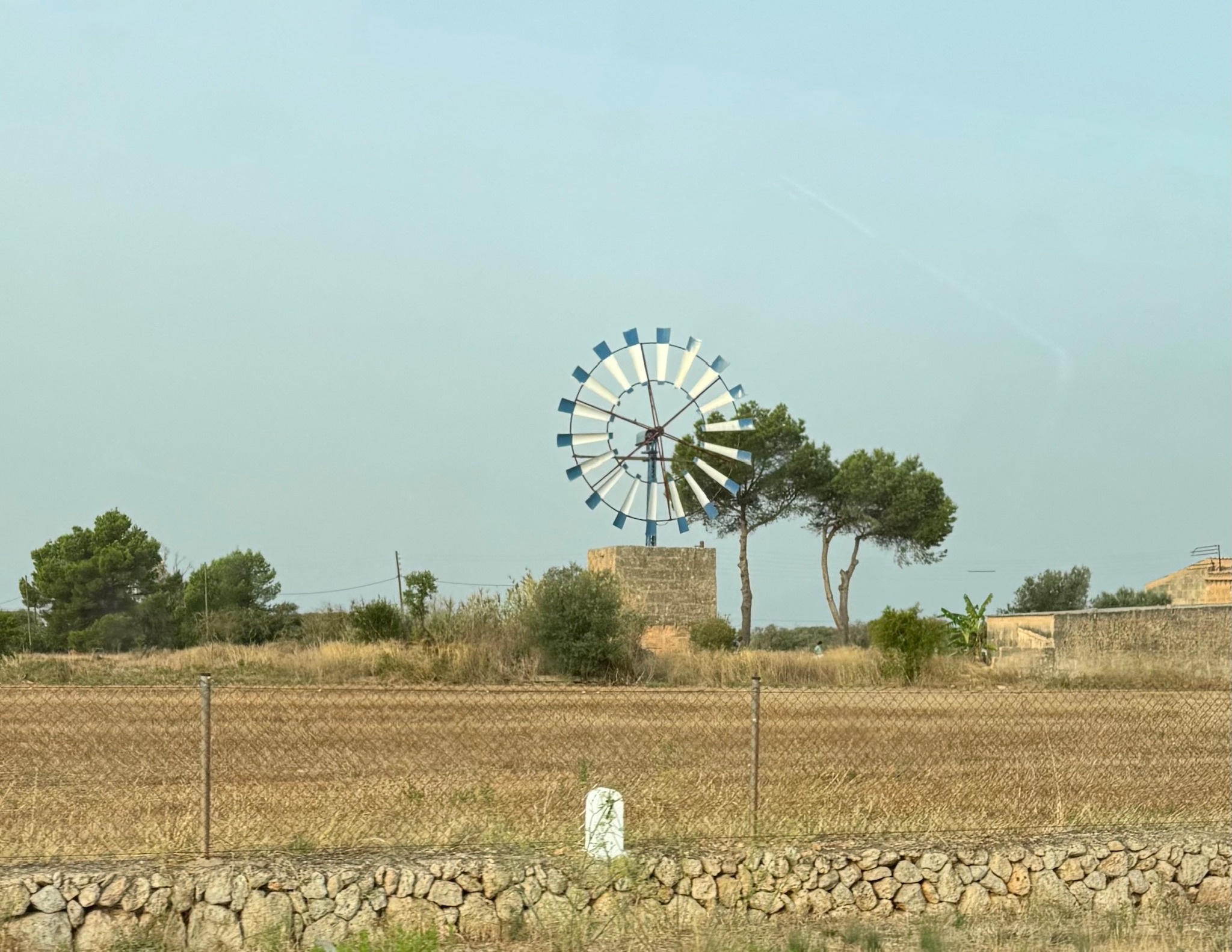 Campos