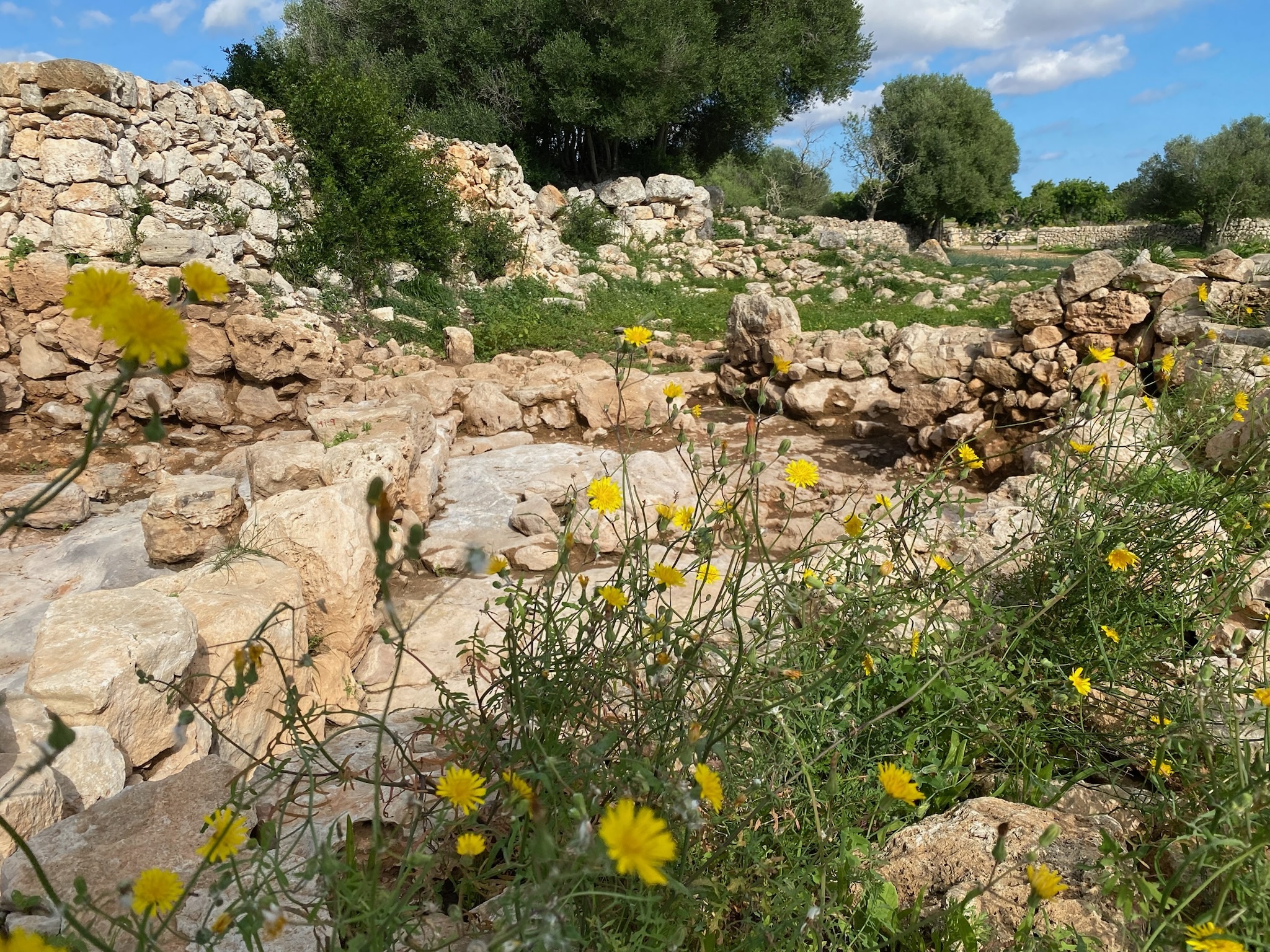 Santanyí