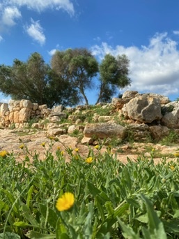 Santanyí