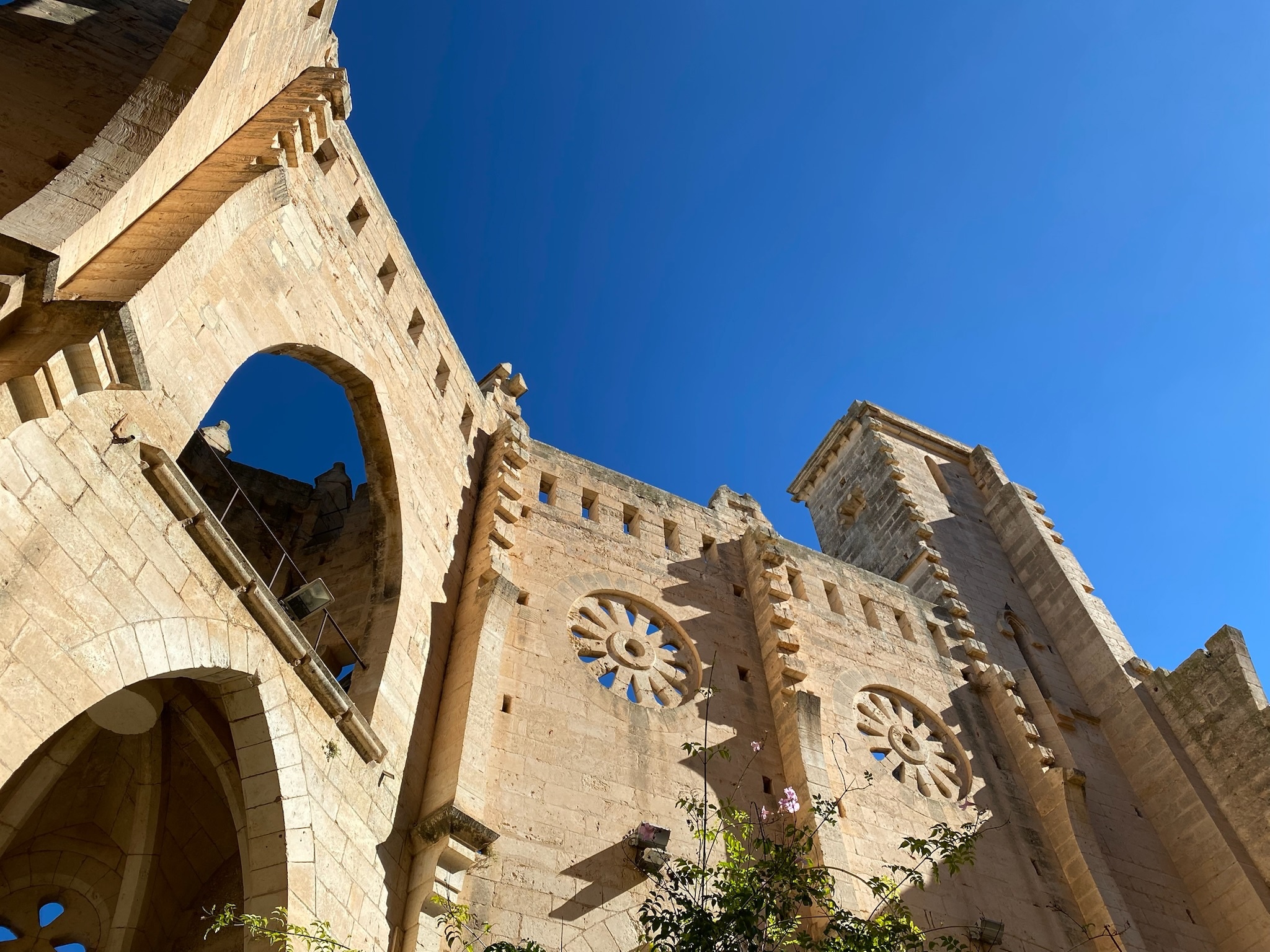 Son Servera
