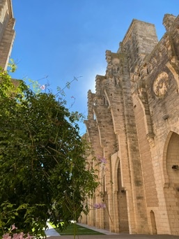 Son Servera