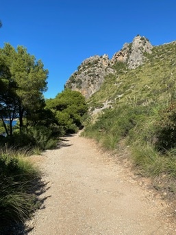 Colònia de Sant Pere