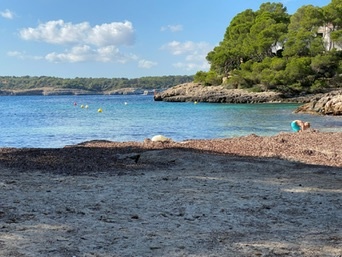 Portopetro