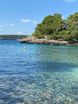 Portopetro