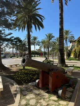 Palma