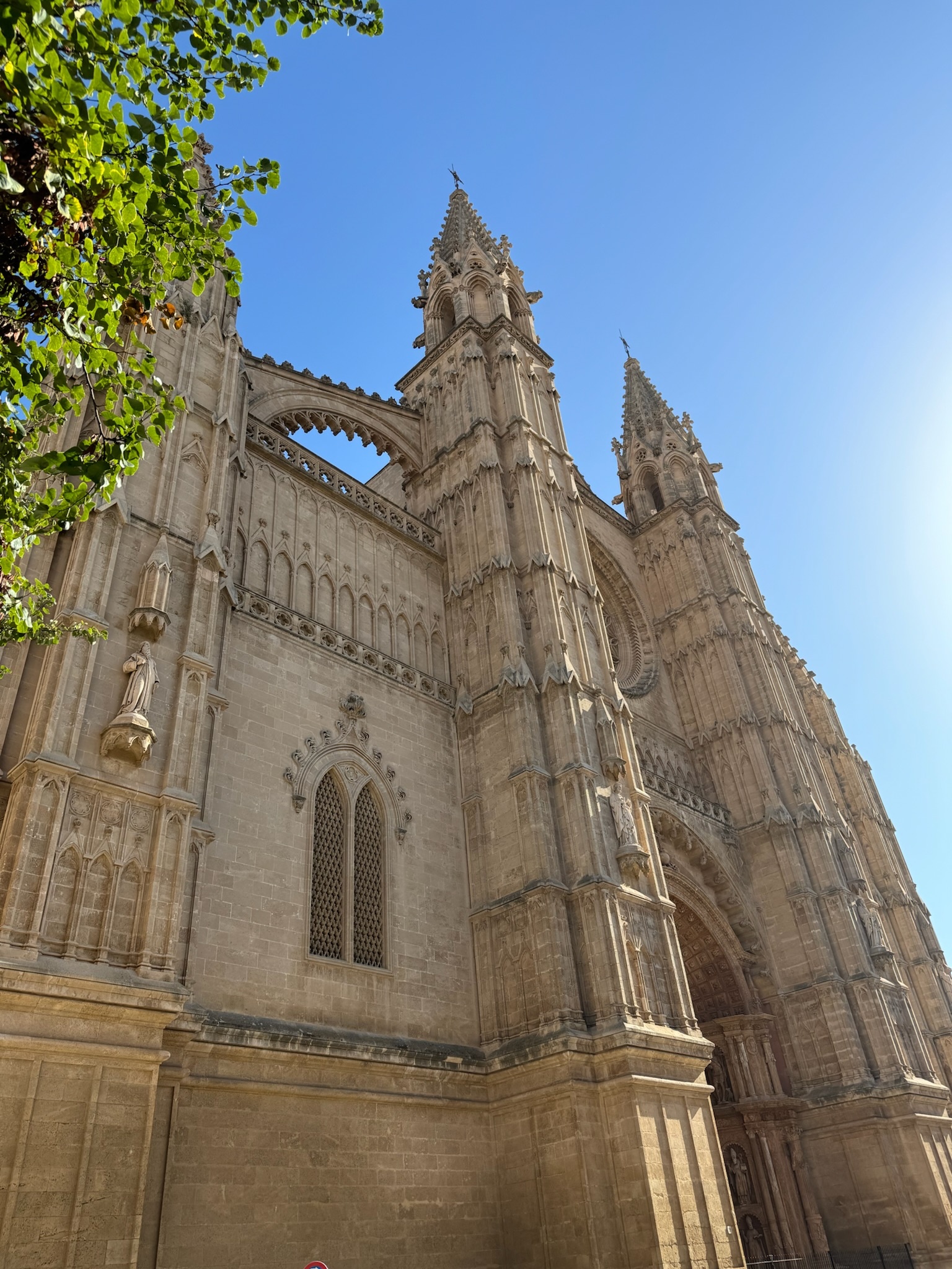 Palma