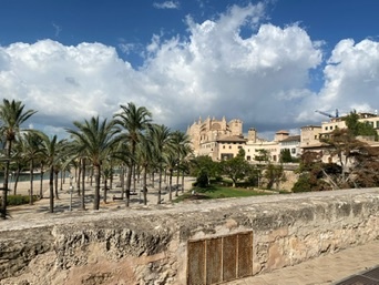 Palma