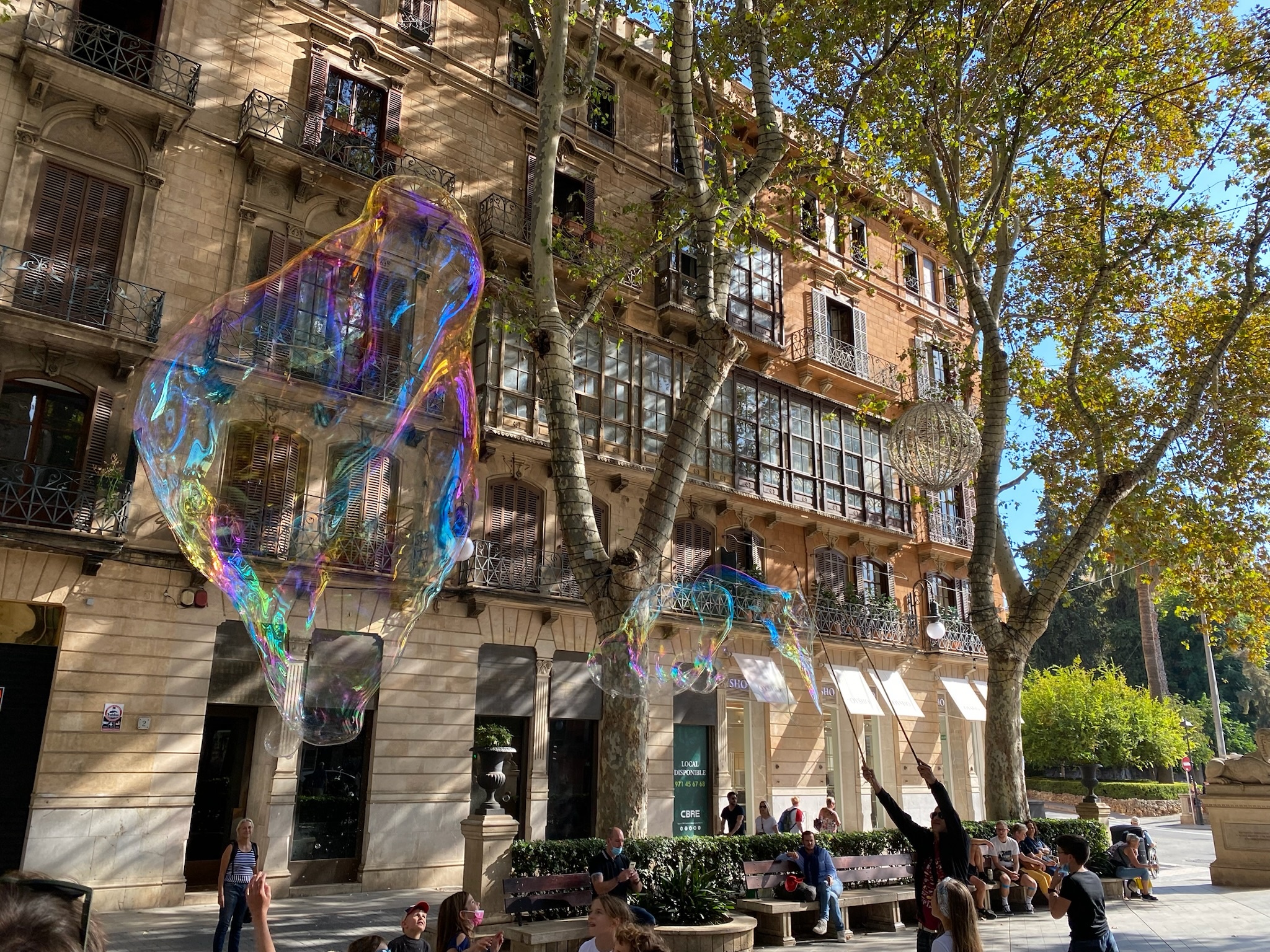 Palma