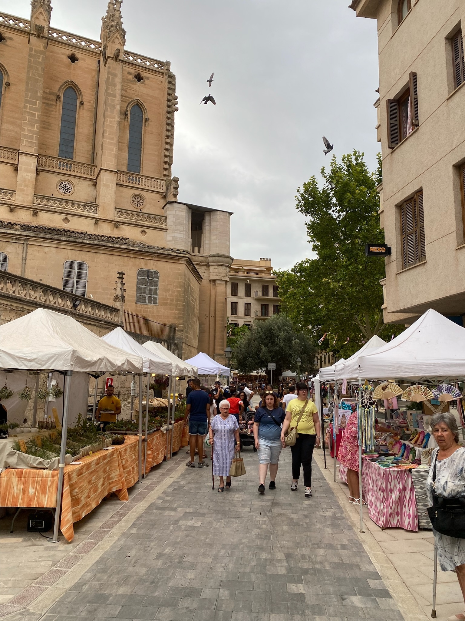 Manacor