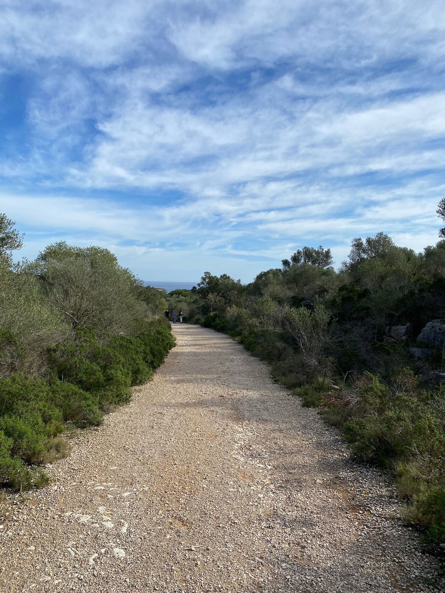 Cales de Mallorca