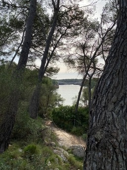 Cala d'Or