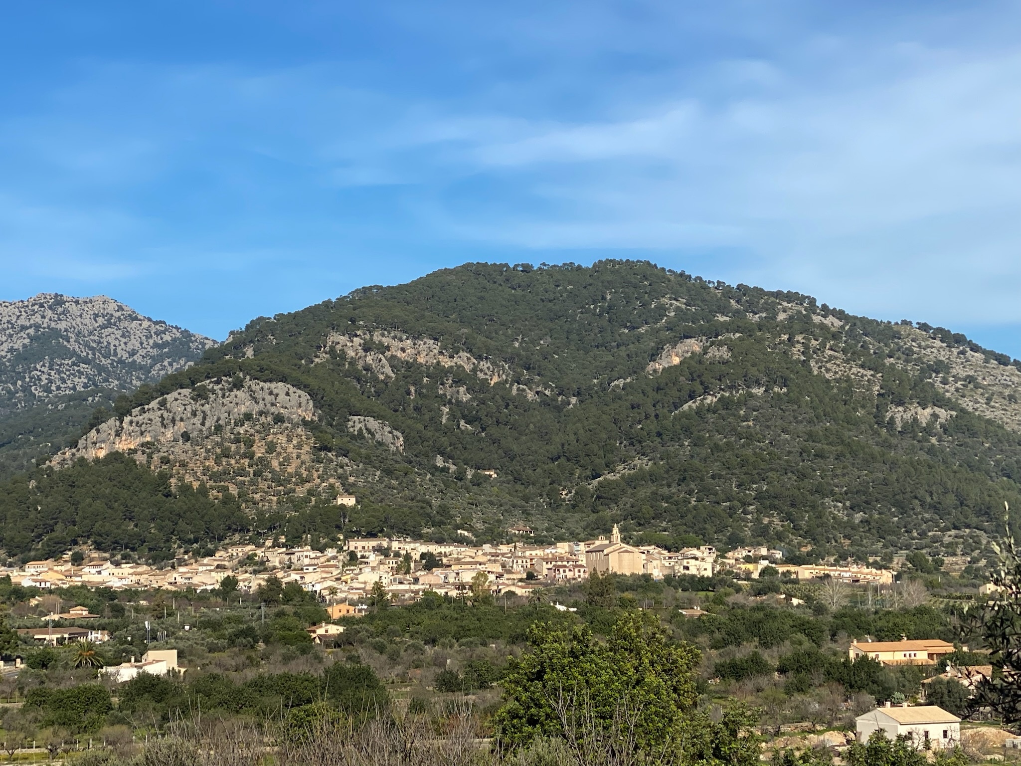 Selva