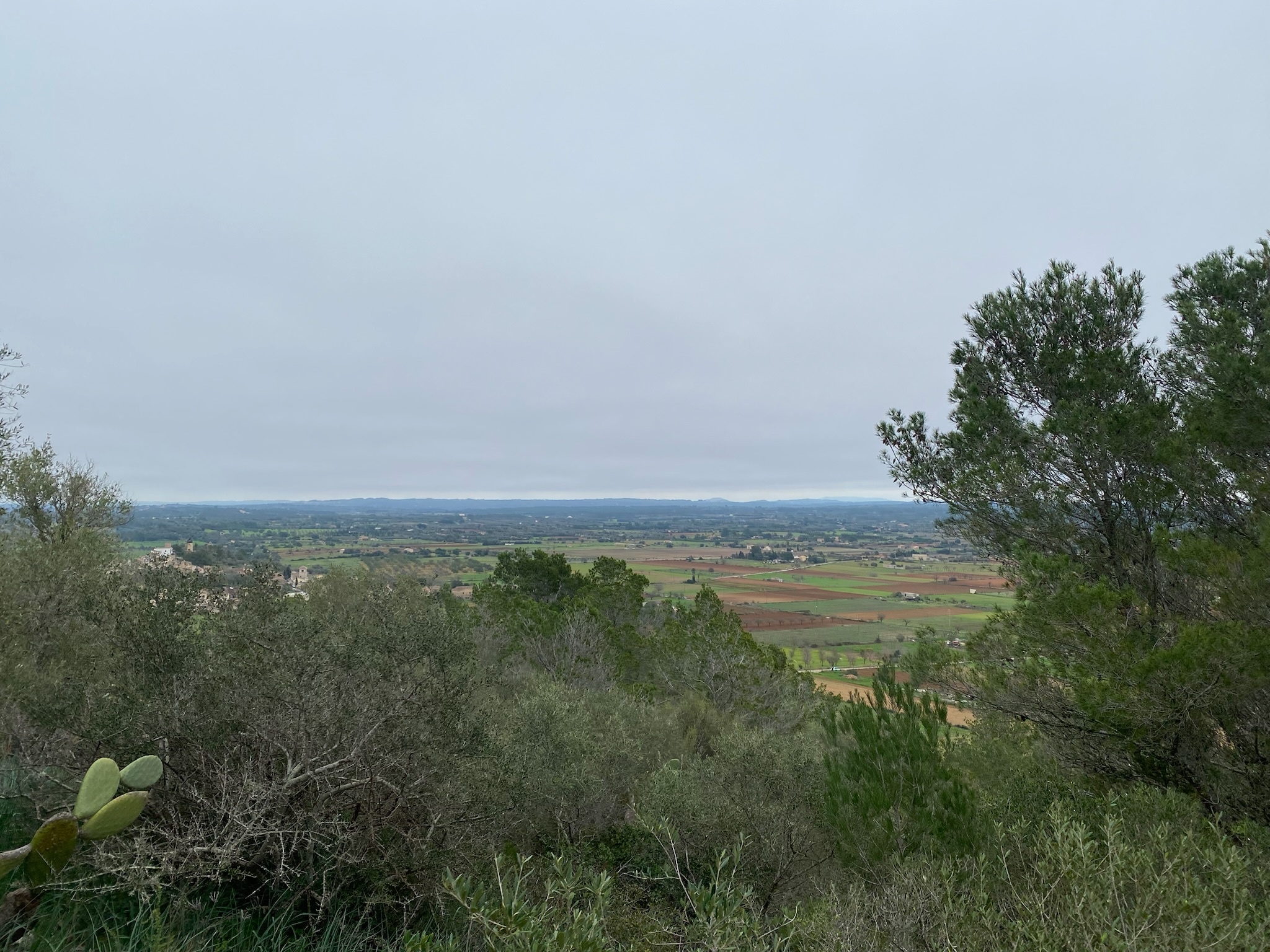 Santa Eugènia