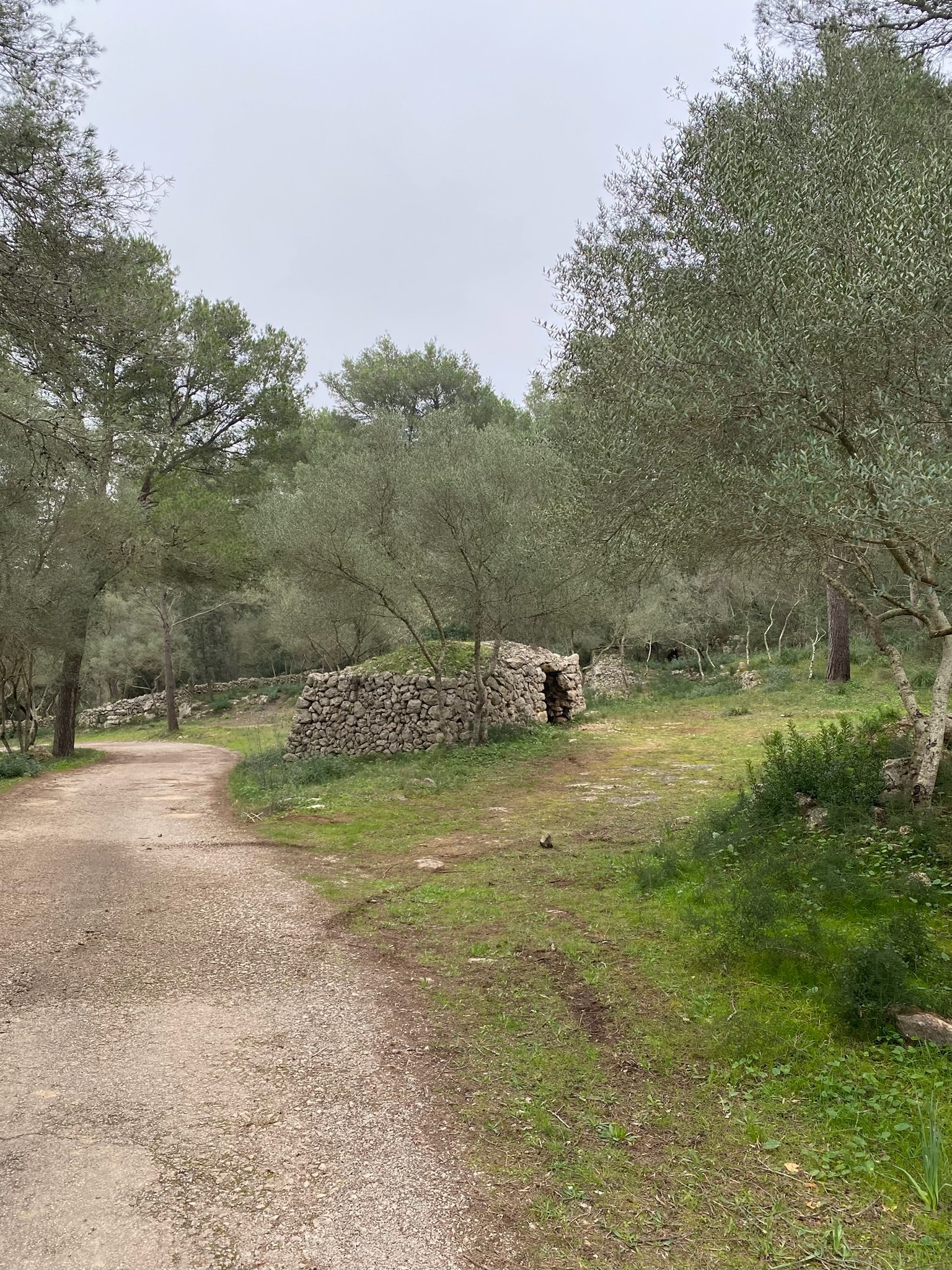 ses Coves