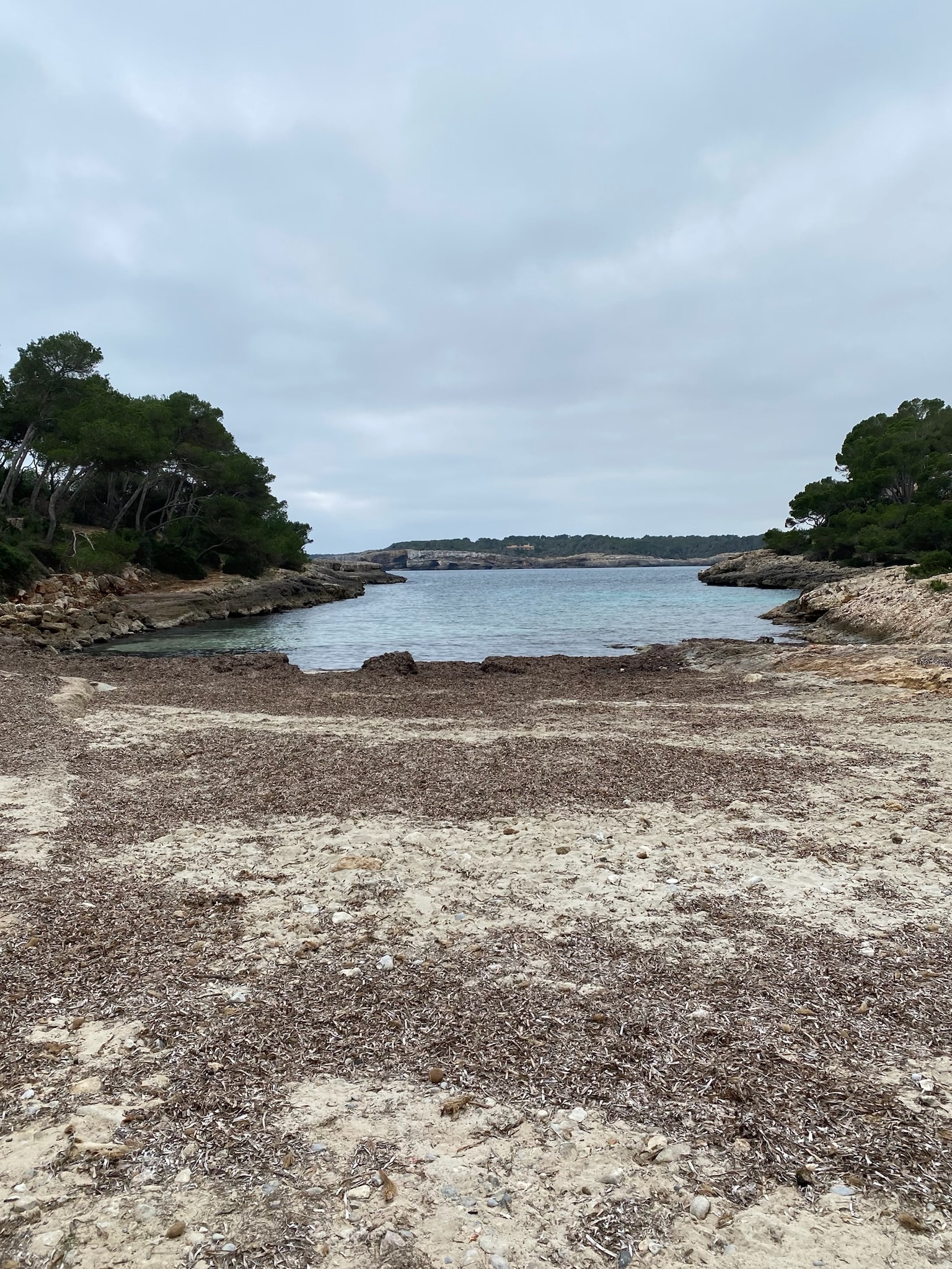 Portopetro