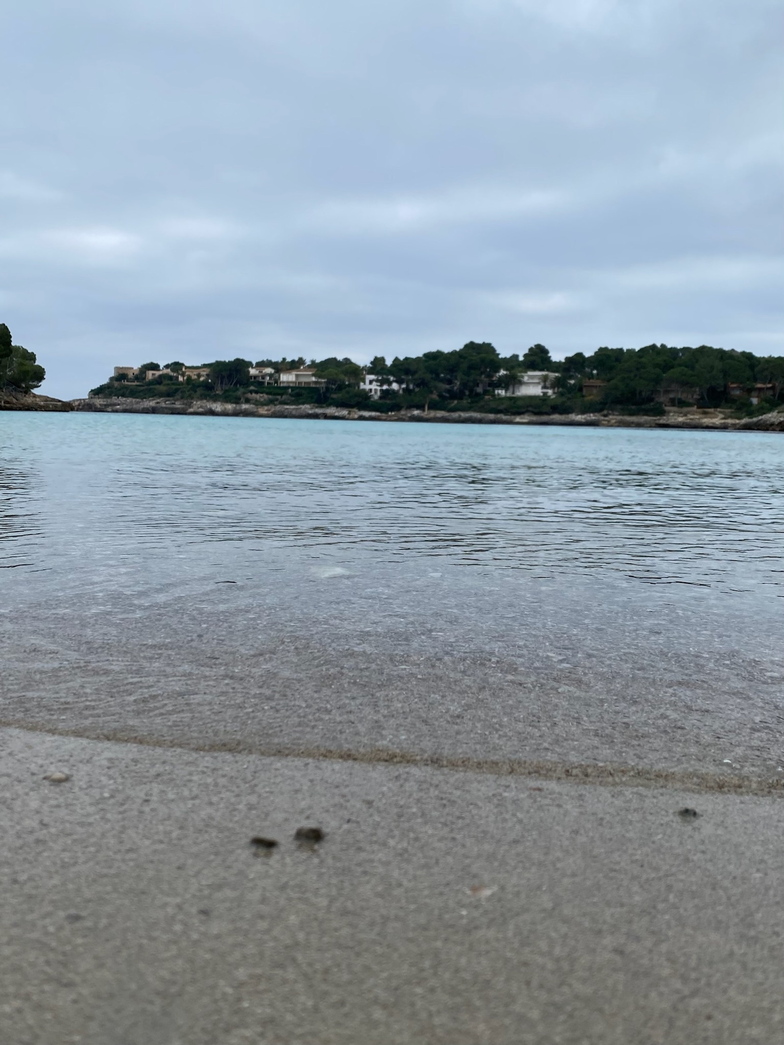 Portopetro
