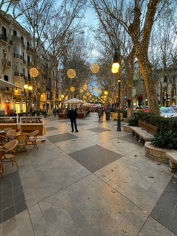Palma