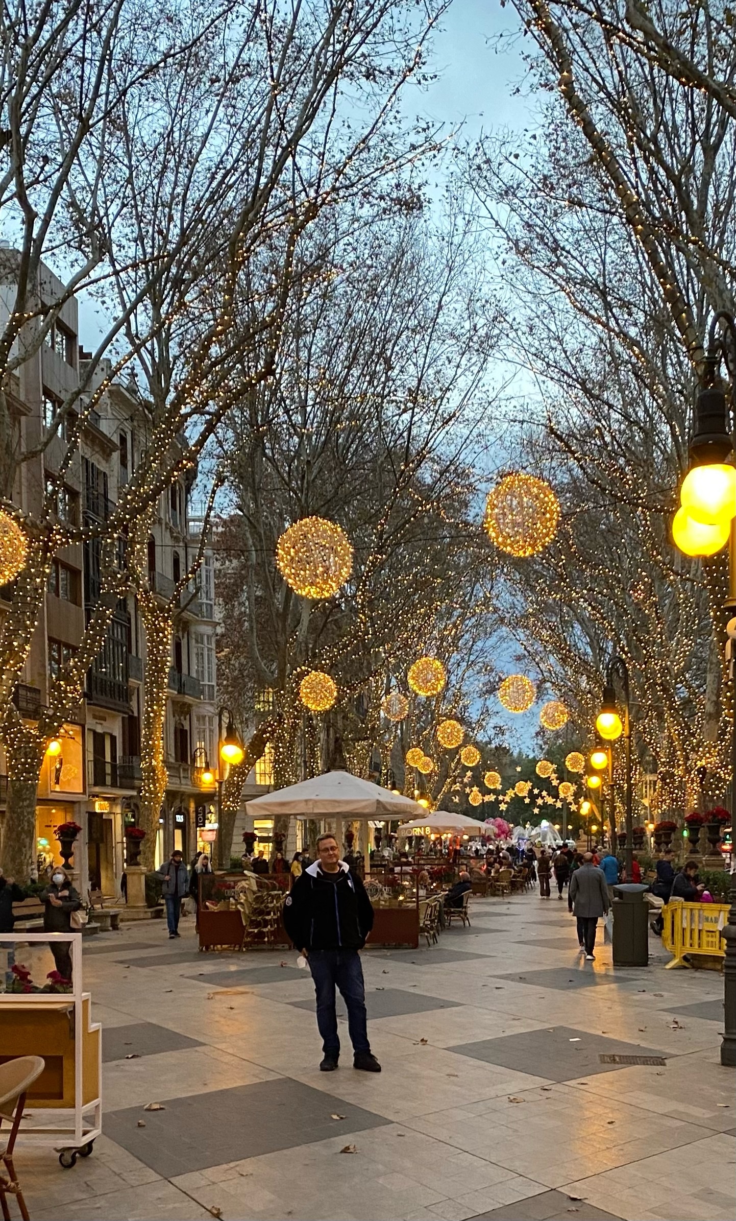Palma