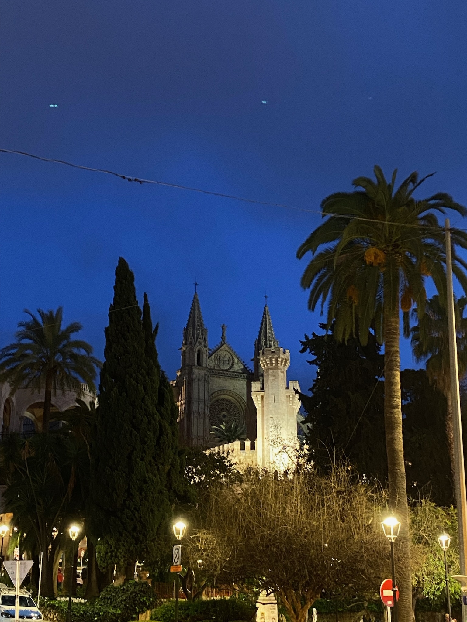 Palma