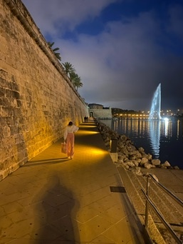 Palma
