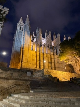 Palma