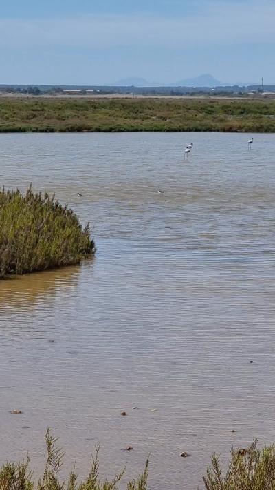 S'Albufera de Mallorca