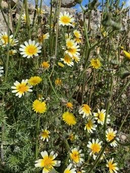S'Albufera Natural Park