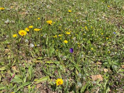 Mondragó Natural Park