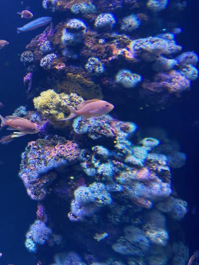 Palma Aquarium