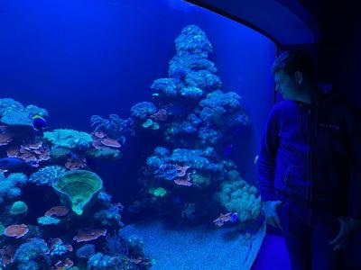 Palma Aquarium