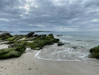 Colònia de Sant Jordi