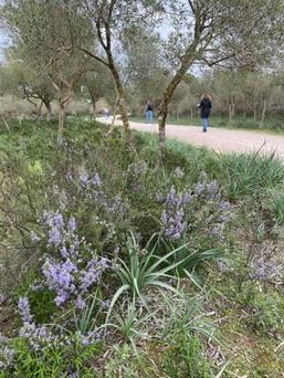 S'Albufera Natural Park