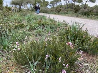 Parc Natural de s'Albufera de Mallorca