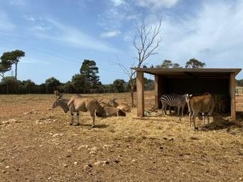 Safari Zoo, Mallorca