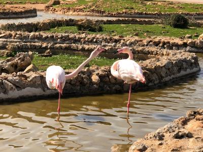 S'Albufera de Mallorca