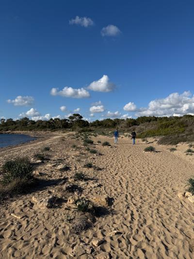Colònia de Sant Jordi