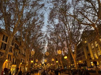Passeig del Born