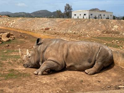 Safari Zoo Mallorca