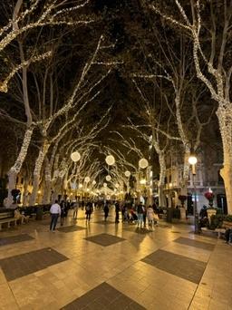 Passeig des Born