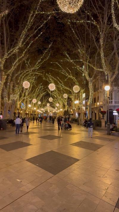 Passeig del Born