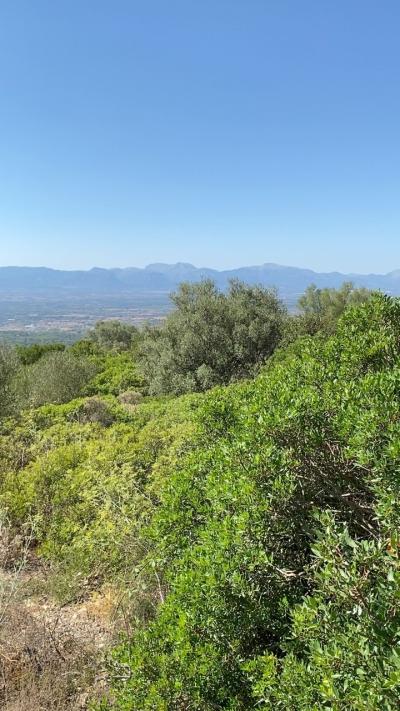 Serra de Tramuntana