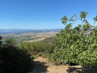 Puig de Randa