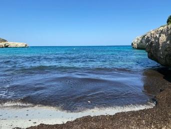 Cales de Mallorca