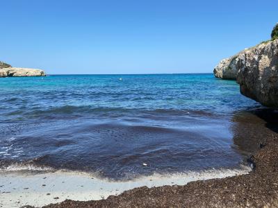 Cales de Mallorca